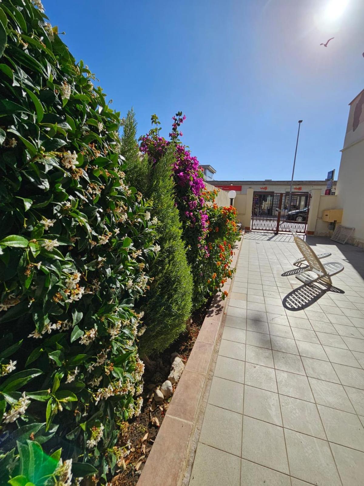 Bebo House Fiumicino Apartment Exterior foto